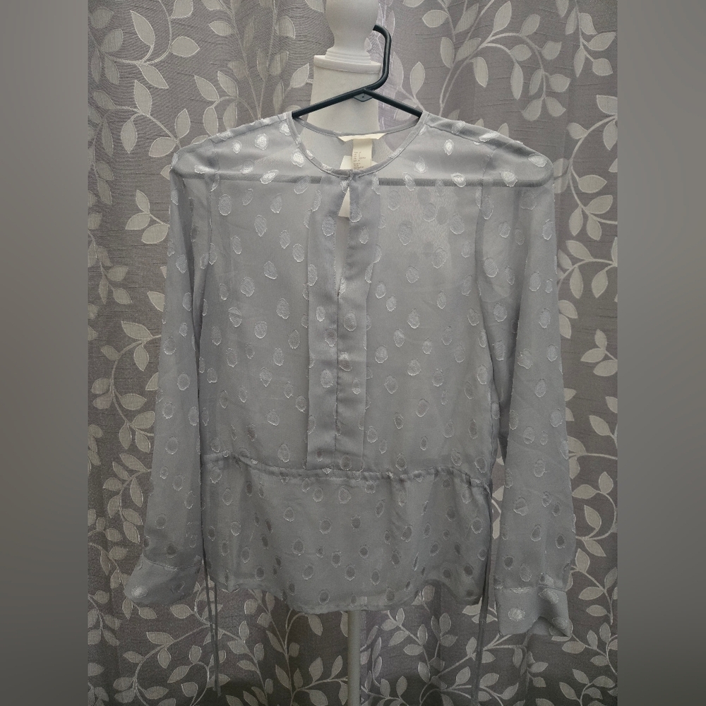 H&M Sheer Gray Blouse